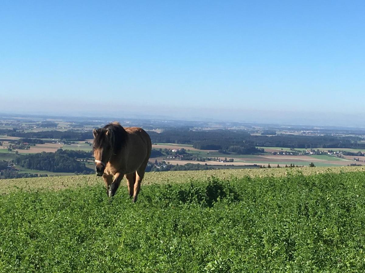 Hochhubergut Villa Aschach an der Steyr Eksteriør bilde